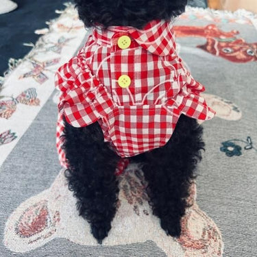 ★frankygrow DOG★frankygrow アシンメトリーカラー SHIRT RED PLAID 24FDG001