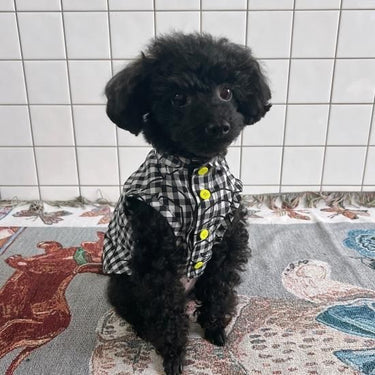 ★frankygrow DOG★frankygrow Lett. RANDOM アシンメトリーカラー SHIRT BLACK PLAID 24FDG001