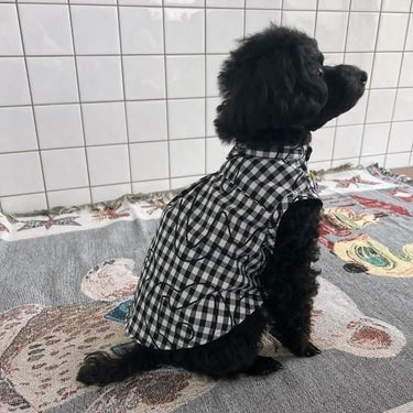 ★frankygrow DOG★frankygrow Lett. RANDOM アシンメトリーカラー SHIRT BLACK PLAID 24FDG001
