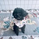 ★frankygrow DOG★frankygrow アシンメトリーカラー SHIRT PINK-GREEN Strawberry 24FDG001