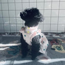 ★frankygrow DOG★frankygrow アシンメトリーカラー SHIRT PINK-GREEN Strawberry 24FDG001