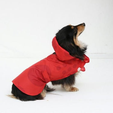 392 plusm サンキューニ プリュスエム maru dog rain poncho マジックテープ 着脱簡単 レインポンチョ 梅雨対策 Sサイズ A9000 S9011
