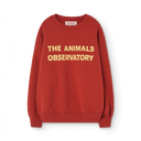 ★DROP1★BASIC★The Animals Observatory Leo Kids Sweatshirt Maroon MRN F24124_252_BG