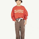 ★DROP1★BASIC★The Animals Observatory Leo Kids Sweatshirt Maroon MRN F24124_252_BG