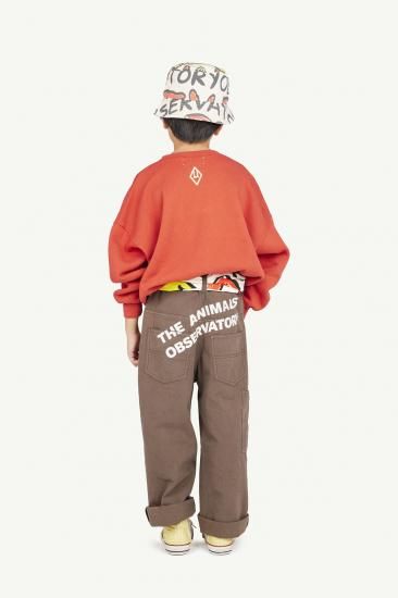 ★DROP1★BASIC★The Animals Observatory Leo Kids Sweatshirt Maroon MRN F24124_252_BG