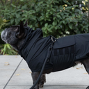Gris グリ LITE RAIN COAT �U ドッグレインコート PEAT BLACK