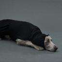 Gris グリ LITE RAIN COAT �U ドッグレインコート PEAT BLACK
