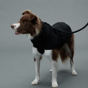 Gris グリ LITE RAIN COAT �U ドッグレインコート PEAT BLACK