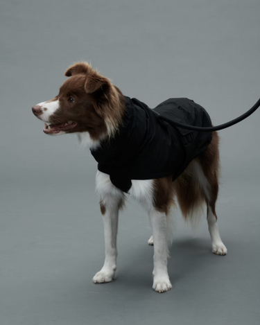 Gris グリ LITE RAIN COAT �U ドッグレインコート PEAT BLACK
