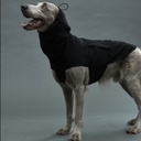 Gris グリ LITE RAIN COAT �U ドッグレインコート PEAT BLACK