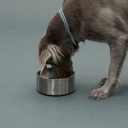 Gris グリ DW BOWL ドッグ ボウル SILVER