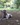 Gris グリ DOG BOLLARD ドッグ ボラード