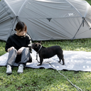 Gris グリ DOG BOLLARD ドッグ ボラード