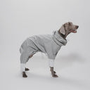 STANDING ON THE BLUE スタンディングオンザブルー Ultra Rain Suit ドッグウェア 犬服 ドッグレインスーツ 24Rain