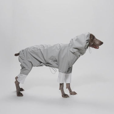 STANDING ON THE BLUE スタンディングオンザブルー Ultra Rain Suit ドッグウェア 犬服 ドッグレインスーツ 24Rain