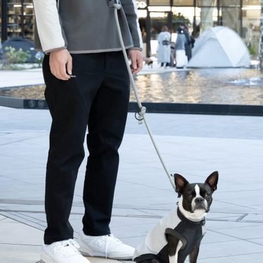 Gris グリ THE SHOULDER LEASH ドッグ ショルダーリーシュ LIMESTONE