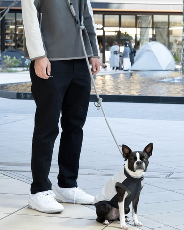 Gris グリ THE SHOULDER LEASH ドッグ ショルダーリーシュ LIMESTONE