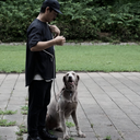 Gris グリ THE SHOULDER LEASH ドッグ ショルダーリーシュ LIMESTONE