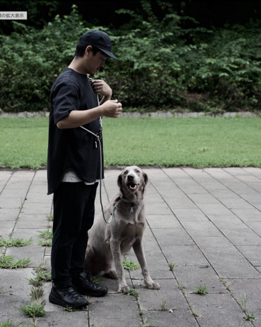 Gris グリ THE SHOULDER LEASH ドッグ ショルダーリーシュ LIMESTONE