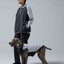 Gris グリ THE SHOULDER LEASH ドッグ ショルダーリーシュ LIMESTONE