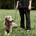 Gris グリ THE SHOULDER LEASH ドッグ ショルダーリーシュ PEAT BLACK