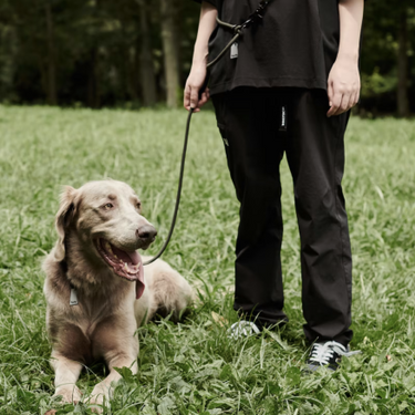 Gris グリ THE SHOULDER LEASH ドッグ ショルダーリーシュ PEAT BLACK