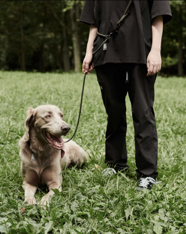 Gris グリ THE SHOULDER LEASH ドッグ ショルダーリーシュ PEAT BLACK