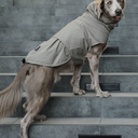 Gris グリ LITE RAIN COAT �U ドッグレインコート WEIMARANER GREY