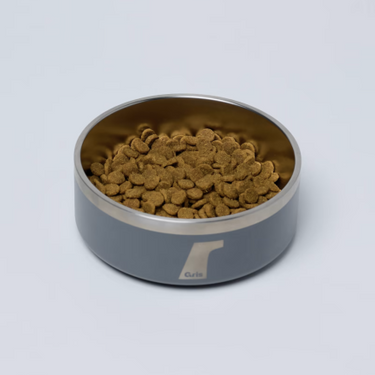 Gris グリ DW BOWL ドッグ ボウル GREY
