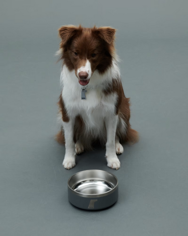 Gris グリ DW BOWL ドッグ ボウル GREY