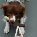 Gris グリ LOGO ROPE TOY ロゴロープトイ PEAT BLACK
