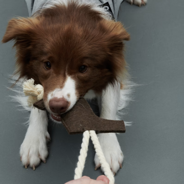 Gris グリ LOGO ROPE TOY ロゴロープトイ PEAT BLACK