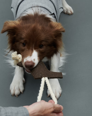 Gris グリ LOGO ROPE TOY ロゴロープトイ WEIMARANER GREY