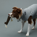 Gris グリ LOGO ROPE TOY ロゴロープトイ WEIMARANER GREY