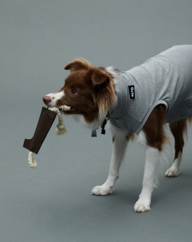 Gris グリ LOGO ROPE TOY ロゴロープトイ WEIMARANER GREY