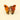 Coucou Suzette ククシュゼット Moth Mini Hair Claw モス ミニヘアクリップ