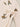 organic zoo オーガニックズー Olive Garden Kimono OGKOZ