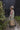 organic zoo オーガニックズー Seasalt Farmer Dungarees 15SFDOZ
