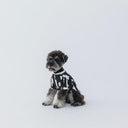 ★nunuforme DOG★nunuforme ヌヌフォルム inuT(ビックロゴ) OffWhite×Black inuinu-001-002