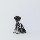 ★nunuforme DOG★nunuforme ヌヌフォルム inuT(ビックロゴ) OffWhite×Black inuinu-001-002