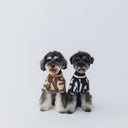 ★nunuforme DOG★nunuforme ヌヌフォルム inuT(ビックロゴ) OffWhite×Black inuinu-001-002