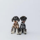 ★nunuforme DOG★nunuforme ヌヌフォルム inuT(ビックロゴ) OffWhite×Black inuinu-001-002