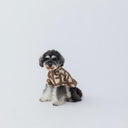 ★nunuforme DOG★nunuforme ヌヌフォルム inuT(ビックロゴ) Brown×Brown inuinu-001-002