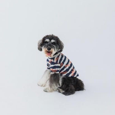 ★nunuforme DOG★nunuforme ヌヌフォルム inuT(NUNUボーダー) Navy×Orange inuinu-001-001
