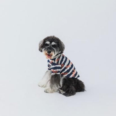 ★nunuforme DOG★nunuforme ヌヌフォルム inuT(NUNUボーダー) Navy×Orange inuinu-001-001