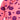 ★PRE 2025SS collection★mini rodini ミニロディーニ Squiggly cats aop nb baby set Pink