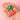 Coucou Suzette ククシュゼット Christmas Candies Hair Clip Set クリスマスキャンディ ヘアクリップセット