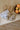 organic zoo オーガニックズー Dusky Midnight Shortie 16SDMOZ