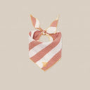 organic zoo オーガニックズー Sienna Stripes Scout Scarf 16SSSCARF