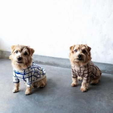 ★先行受注予約★2025AW★michirico DOG★michirico ミチリコ DOG hoodie MR-D-001